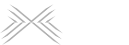 PVG logo white